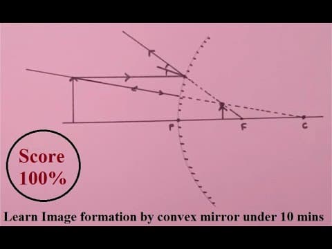 Easiest way to Understand Ray diagrams for Convex mirror