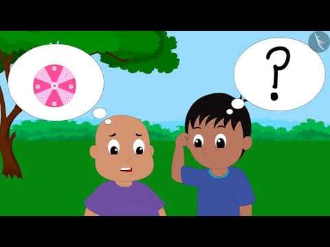 వివిధ దిశల నుండి వస్తువులను చూడటం | Part 2/3 | Different views of objects | Telugu 