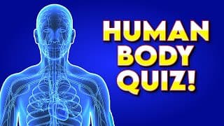 Can You Pass This Human Body Quiz