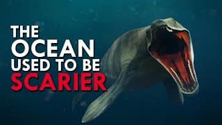 When Ocean Was Spelled FEAR