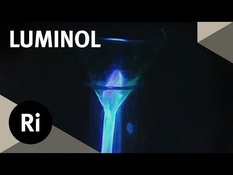 Firefly Signalling - Christmas Lectures with David Pye