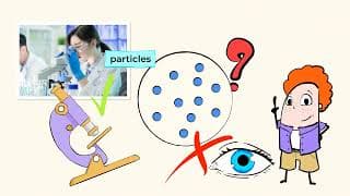 Matter is composed of particles to matter or not to matter | MightyOwl Science | Fifth Grade