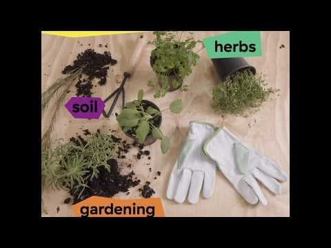 Discover It Yourself DIY Herb Garden