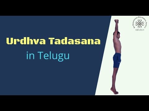 ŪrdhvaTādāsana in Telugu
