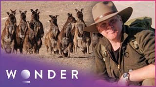 Visiting The Island Of The Dead | Australian Wilderness S1 EP4 | Wonder