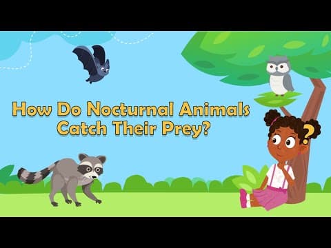 How Do Nocturnal Animals Catch Their Prey? - Animal Facts - Learn About Animals - Facts for Kids