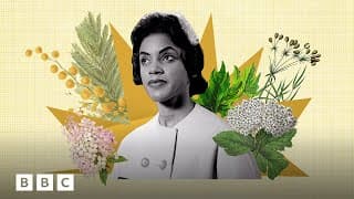 How nature can make you feel calmer BBC Global