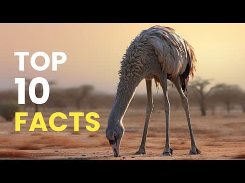 Discovering Ostriches: 10 Fascinating Facts You Didn't Know