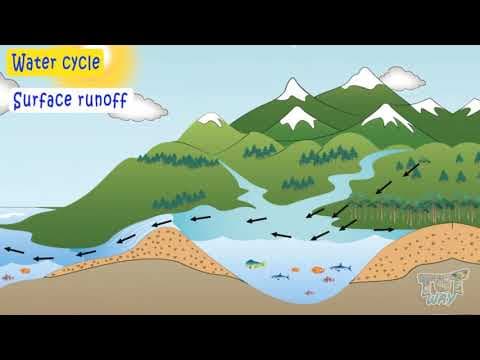 The Process of Water Cycle | Science