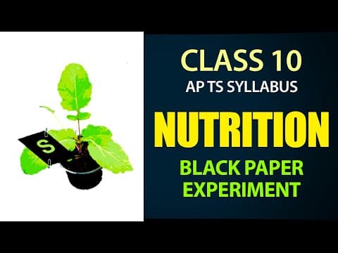 Nutrition | Black Paper Experiment