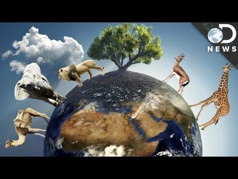 Why Can’t Different Species Mate With Each Other?