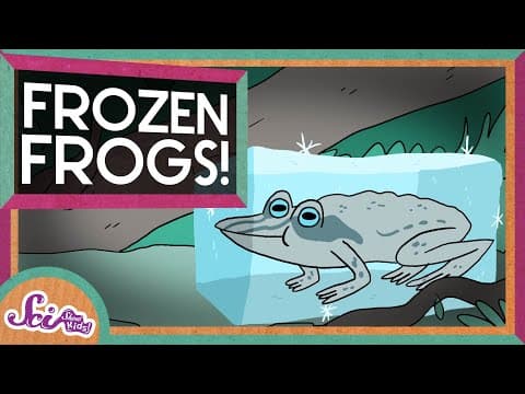 The Secret of Frozen Frogs! | Winter Science | SciShow Kids