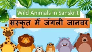 संस्कृत में जंगली जानवर (Wild Animals in Sanskrit)