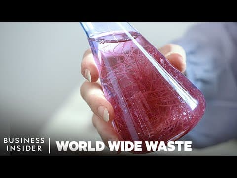 Can seaweed replace plastic packaging