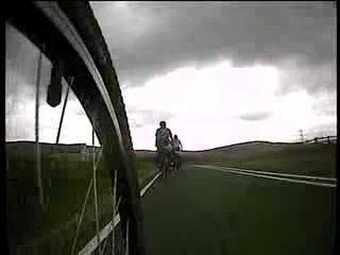 E-Day : The Carbon Cycle