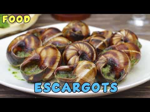 Discover France | Countries of the world |Journey Through Its Wonders | FEFDY Learning