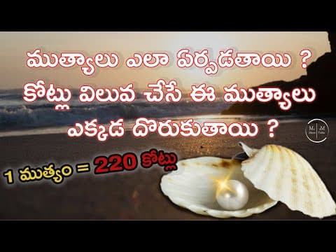 Formation of a Pearl  -  Secret Life of Pearls  -  Expensive Pearls  -  Jewellery