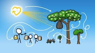 How Our Honey is Made