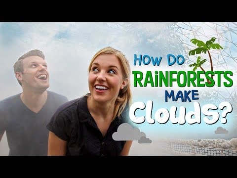 How Do Rainforests Make Clouds Maddie Moate -
