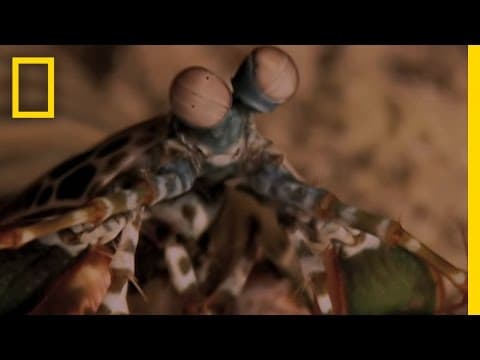 Overview  Exploring Oceans