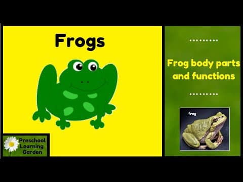 Frog body parts and functions