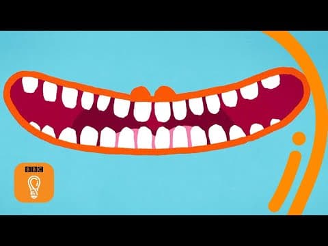 Some Fun and Freaky Facts About Teeth
