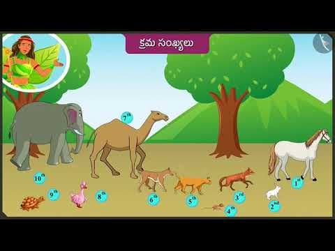 క్రమ సంఖ్యలు | Part 1/3 | Ordinal numbers