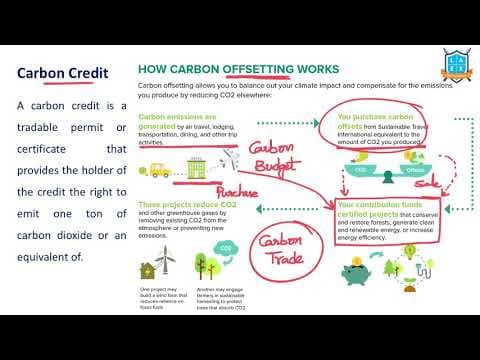 What is Carbon Credit ? || Carbon Credit అంటే ఏమిటి?