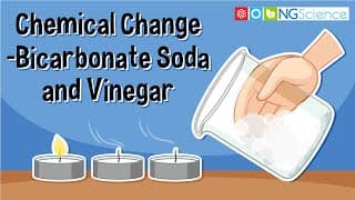 Chemical Change – Bicarbonate Soda and Vinegar