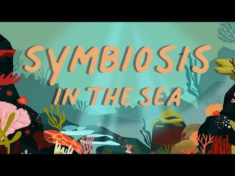 What is Symbiosis.