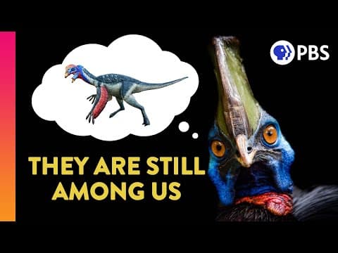 Did Dinosaurs Really Go Extinct?