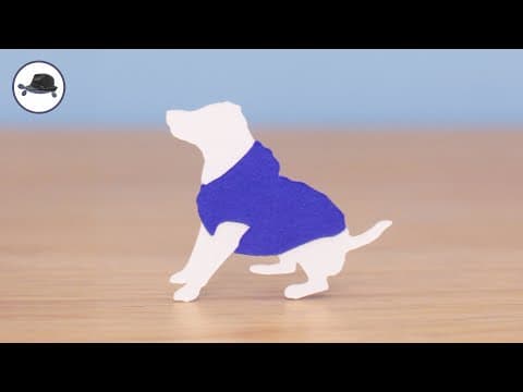 Bactrian camel race in the Gobi desert