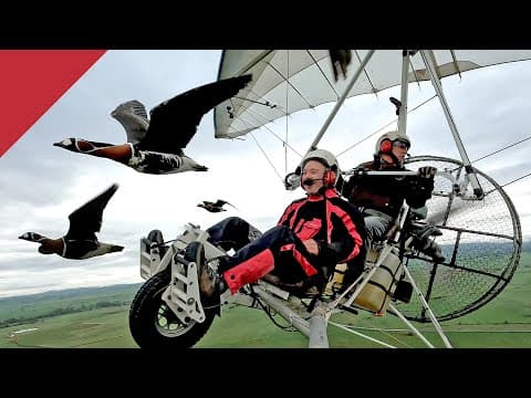 Flying with migratory birds in a microlight aircraft over France