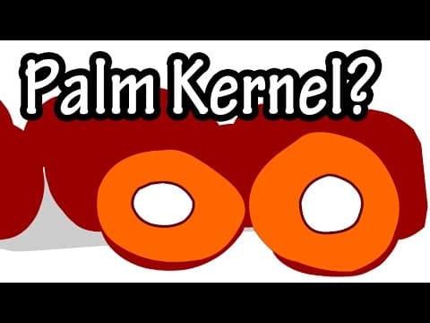 What is Palm Kernel Oil