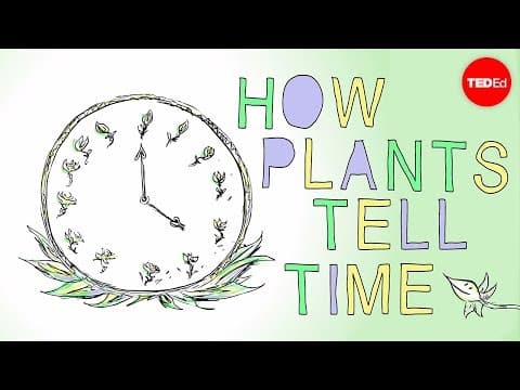 How plants tell time-dasha savage
