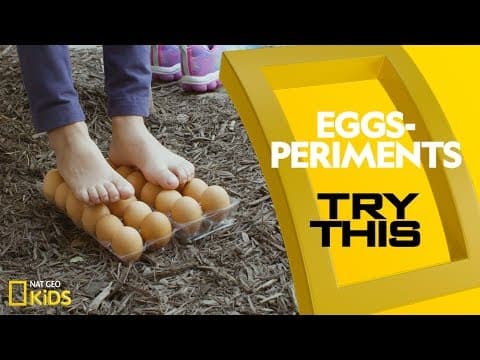 Eggs experiments - try this