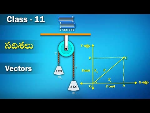 సదిశలు | Vector | Types of Vectors| Physics