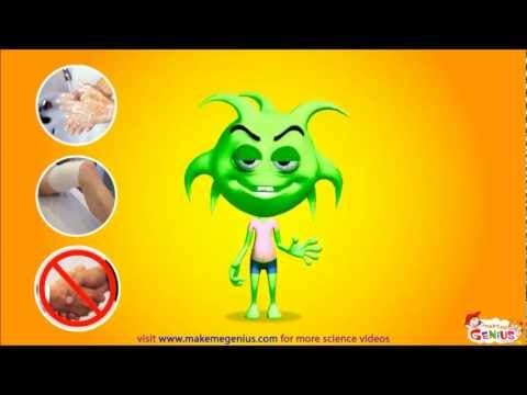 What are Germs ? - Major Types , Diseases, Infections ,Animation Video - YouTube