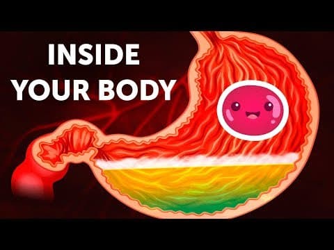 A journey inside your body