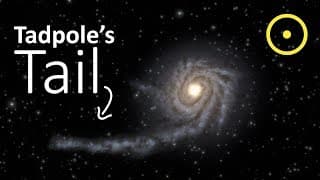 The Tail of The Tadpole Galaxy