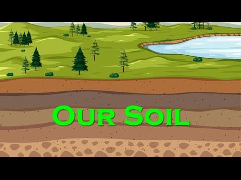 Our Soil l Type of soil l Fertility of soil l Alluvial Black Red Laterite Mountain & Desert Soil