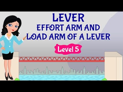 Forces(Part-7) Bridge Basics | Science