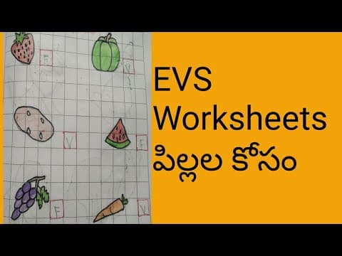 Evs worksheets for kids - evs worksheet for kindergarten