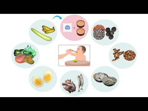 General Guidelines for Complementary Feeding - Telugu