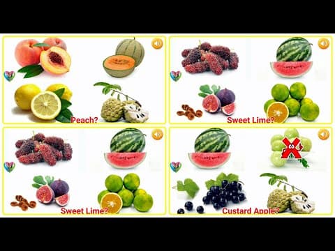 Fruits Learning with Fun Game Choosing
