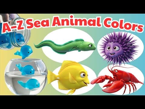 ABC Sea Animals 🌊 Learn Alphabet, Colors & Sounds 🐠🐬 | Fun Kids Song | Meow Meow TV