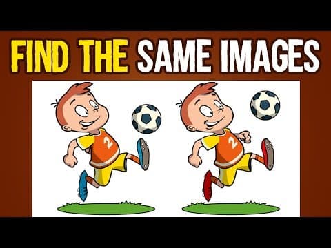 Find the 2 same pictures - find the same images challenge