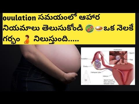 ovulation సమయంలో ఆహారక్రమం తెలుసుకోండి ఒకే నెలలో pregnant అవ్వండి/food to avoid during#pregnancy