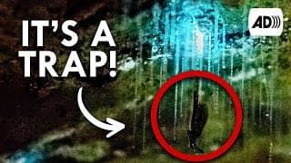 Glow Worm | Described Video