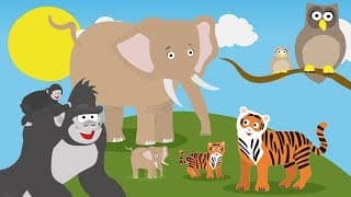 Baby Animal Videos For Toddlers | Toddler Fun Learning
